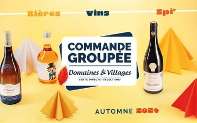 VINS automne 2026